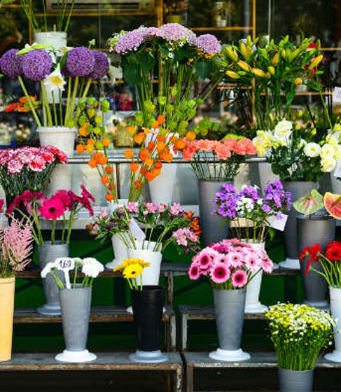 Location d'utilitaire aux artisans